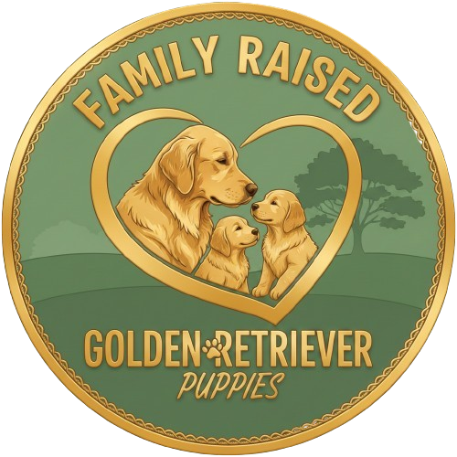 Gemini_Generated_Image_kye63xkye63xkye6-removebg-preview